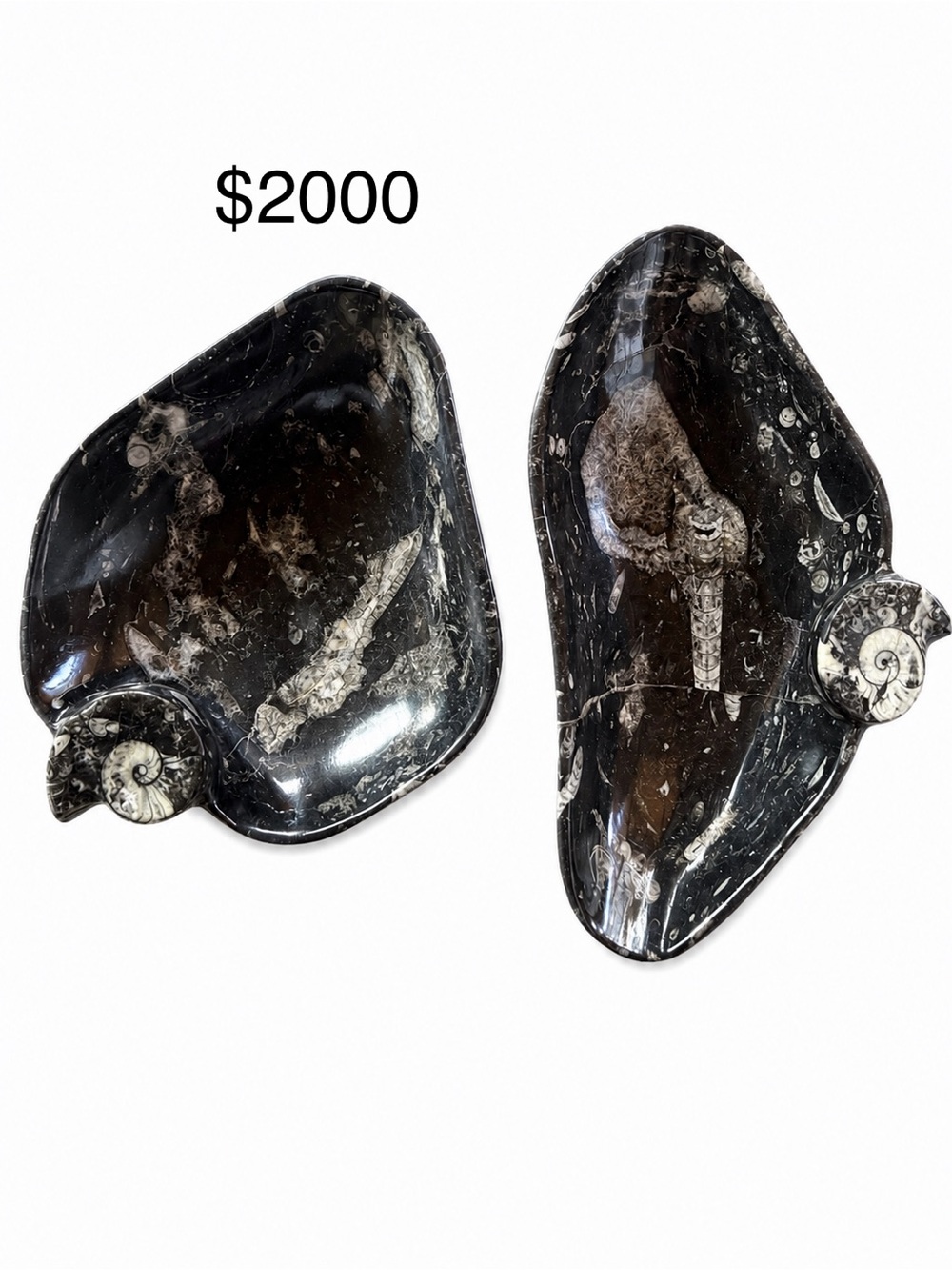 PRIZE $$ Gift Options!!! - Picture 16 of 16